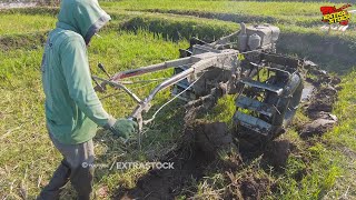 Traktor Sawah Nyingkal Tanah Kering Sambil Nunggu Air Datang