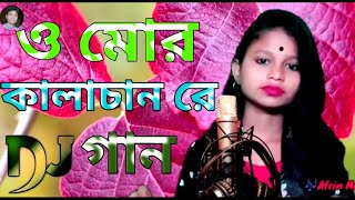 O Mor Kalachan Re । ও মোর কালাচান রে । Najmira Khatun । Bangla Song । বাংলা গান। Afrin Music । 2024