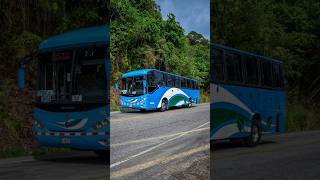 Buses saludando ✌️😎🇨🇷 #musica #fotografia #trailer #bus #busdriving