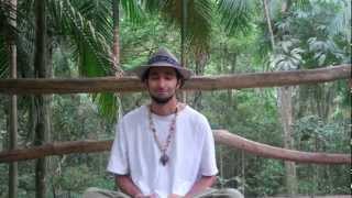 Jungle Morning Pachamama Guided Meditation