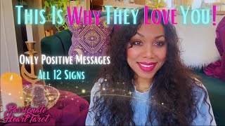 ✨💖 This Is Why They Love You! ˚₊· ͟͟͞͞➳❥ POSITIVE MESSAGES ONLY ✧ All 12 Signs 💖✨