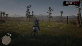 RDR2