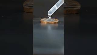 water surface tension test with a penny #shorts #satisfying #surfacetension #water #test #experiment