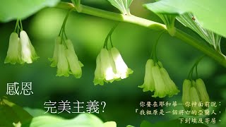 靈修:感恩-完美主義? 20240927 (潮語讀經版)