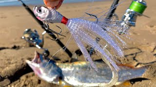 Pesca de PLAYA con BAILARINA PLUMERO || COMO PESCAR de ORILLA || TIPS DE PESCA || SINALOA.