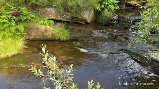 Водопад Bronte Waterfall