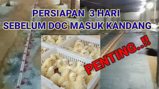 PERSIAPAN KANDANG SEBELUM DOC MASUK