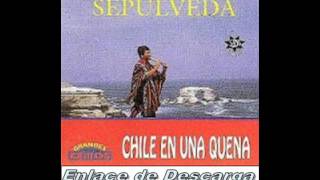 Ferdando Sepulveda - Chile en una quena