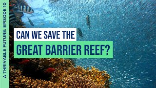 Can We Save The Great Barrier Reef? | Dr. Karen Hofman | Podcast: Episode 10