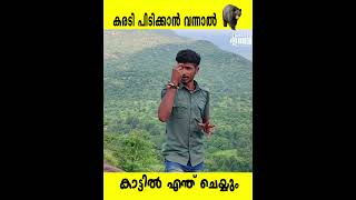 കരടി പിടിക്കാൻ വന്നാൽ (Short video)