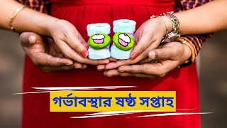 Pregnancy weekly update- 6th week| In Bengali | গর্ভাবস্থার ষষ্ঠ সপ্তাহ|