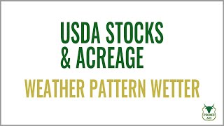 USDA Stocks & Acreage | Plus high winds and wetter pattern