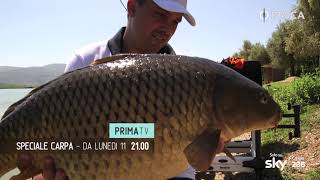 PESCA TV SKY 236 - SPECIALE CARPA - promo HL