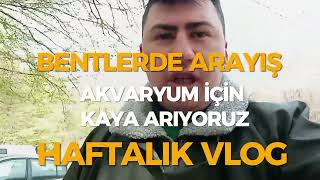 DOĞADAN AKVARYUMUMUZA KAYA TOPLADIM (Haftalık Vlog) #akvaryum #orman  #kemerburgaz #doğa #vlog #ibb