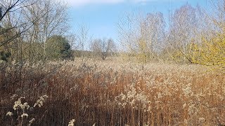 LOST PLACES - Wanderung - Durch ein ehemaliges NVA-Übungsgelände (02.04.2018)