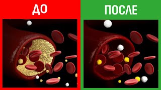 Лучшие продукты для очищения сосудов и здоровья сердца