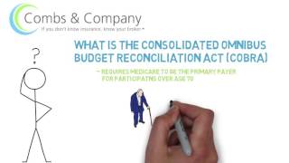 What is the Consolidated Omnibus Budget Reconciliation Act (COBRA)?