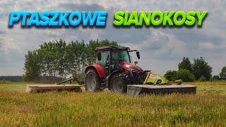 Ptaszkowe sianokosy 2023 Vlog #8