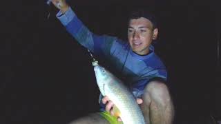 PESCANDO DE NOCHE, lindas capturas de costa ..#riogualeguay #pesca #rio #noche #argentina #fishing