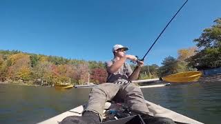 2 LB Bass Eats 8 Inch Swimbait