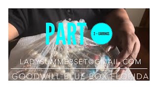 24 - 198 — Goodwill Blue Box — 📦 Part 2