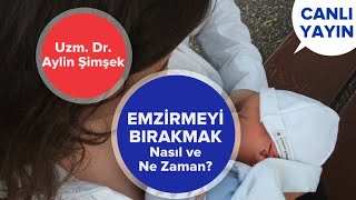 Emzirmeyi Bırakma Yöntemleri - Ne Zaman ve Nasıl? | Bebek Sağlığı