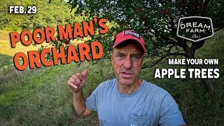 Feb. 29: Poor Man's Orchard - How to Graft Apple Trees | Dream Farm w/ Bill Winke