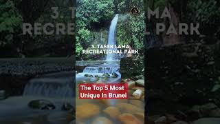 The Top 5 Most Unique In Brunei #aboutfive360 #bruneitravel #brunei #asiantravel