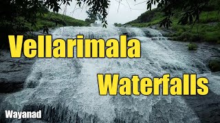 Vellarimala Waterfalls / Wayanad