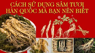 CÁCH SỬ DỤNG SÂM TƯƠI HÀN QUỐC MÀ BẠN NÊN BIẾT