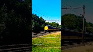 Koploper tussen ermelo en putten #music #train #nederlandsespoorwegen #short #shorts