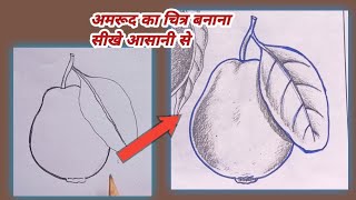 अमरूद कैसे बनाएं / How To Draw Guava  / स्मृति चित्रण / Guava Drawing Step By Step / amrud drawing