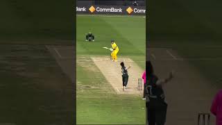 Steven smith Defende vs Naseem Shah #ytshorts #cricket #pakvsa #stevensmith #cricketlover