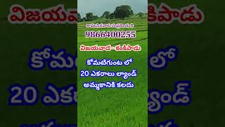 Land for Sale in Komatigunta | Kankipadu | Vijayawada | కోమటికుంట | 9866400255 | #krishnadistrict