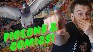 The Life Of A COMIC & TOY Collector Episode 3 : Unboxings & PIGEONS!