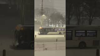 கனடாவில் மீண்டும் பனிப்புயல்!!! BLIZZARD SNOW STORM in Toronto Ontario Mississauga Canada!!!