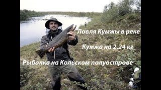 Большая Кумжа на воблер. / Trout fishing. Кумжа на 2.20 кг.