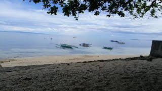 🏝🏖Beach Lot with 3 Houses in Oslob Cebu🏝🏖 | Brokerage | {❌SOLD OUT❌}