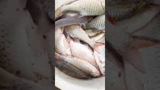 VIRAL ❗ MANCING IKAN berem panon #shorts #viral