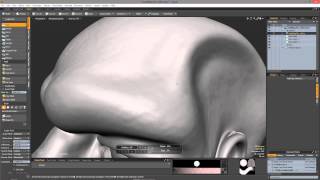 Modo 701 Multi-Res Sculpting