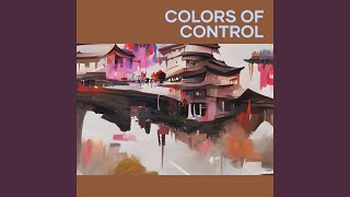 Colors of Control