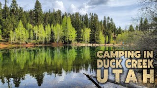 Camping And Fishing In Duck Creek Utah!!