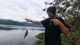 Pesca de guapote