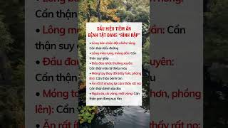 Dấu hiệu tiềm ẩn bệnh tật đang rình rập #suckhoe #doisong #baihoccuocsong #xuhuong #reels