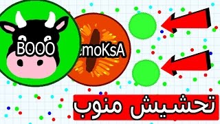 قيم بالصوت | حشيش مصري في أقاريو | UNCUT Gameplay agar.io