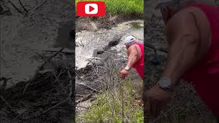 Fat man messing with ALLIGATOR falls inside the water and gets ARM RIPPED OFF #tiktok #viral #shorts