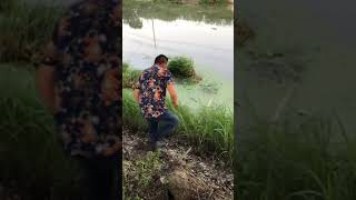 Amazing Rural Fishing Video 🐟 Best Asian Fishing Technique 🐟 #shorts