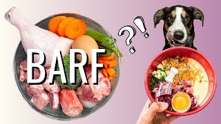 7 Beneficios de la DIETA BARF para perros 🐶 ¿a favor o en contra?