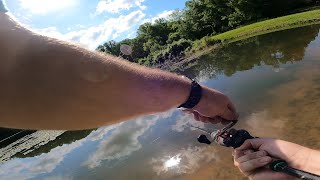 Sunday Pond Session May 2022