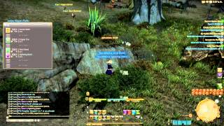 FFXIV ARR Gil Farming Guide 75k An Hour  Ep. 1